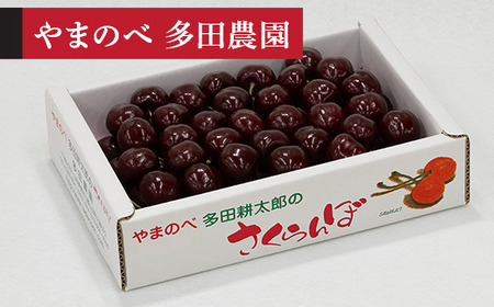 [令和8年産] サミット バラ詰 700g やまのべ多田耕太郎のさくらんぼ