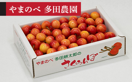 [令和8年産] レーニア バラ詰 700g やまのべ多田耕太郎のさくらんぼ