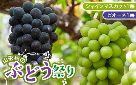 [先行予約 2026年発送]山形秋のぶどう祭り