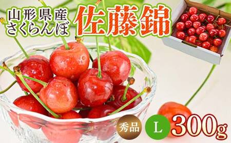 さくらんぼ 佐藤錦 300g L玉 秀品 1パック バラ詰め 山形県産 化粧箱入り [令和8年度 先行予約]