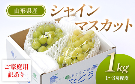 [先行予約(令和8年発送)] 山形県産 ご家庭用 訳ありシャインマスカット 1kg
