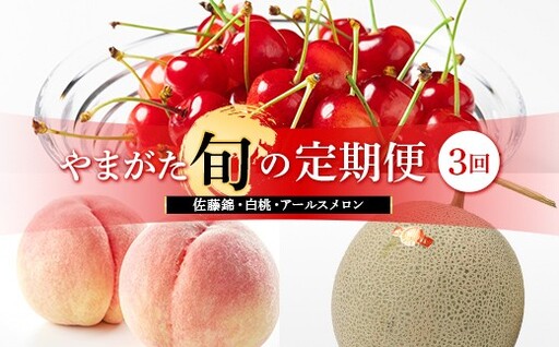 【先行予約】 やまがた旬の定期便【3回】（佐藤錦・白桃・アールスメロン） FSY-2623