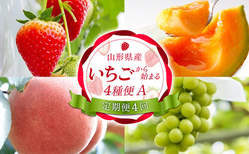 [定期便4回] 「いちご」から始まる4種便A