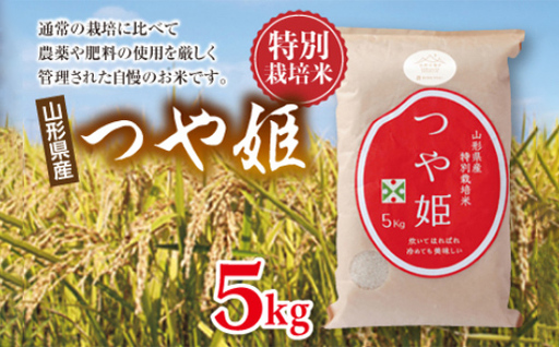 【山形の極み】特別栽培米 山形県産 つや姫 5kg 精米 ごはん 白米 F2Y-6069