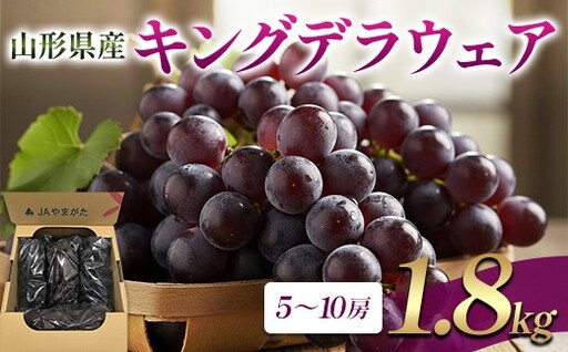 山形県産 キングデラウェア 1.8kg