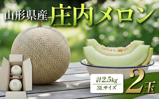山形県産 庄内メロン 2玉 FSY-2860