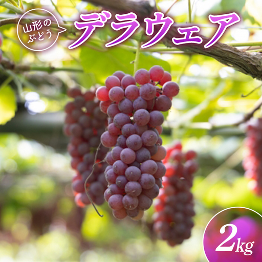 山形県産ぶどう デラウェア 2kg FSY-2892