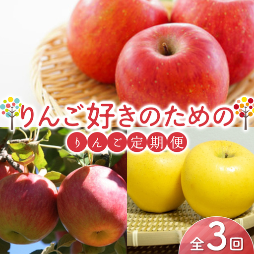 りんご好きのためのりんご定期便(全3回)