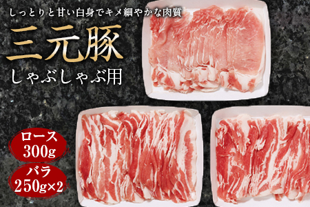 三元豚 しゃぶしゃぶ用