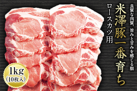 V؈Ԉ炿[XJcp F2Y-0428