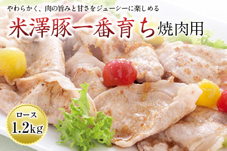 V؈Ԉ炿 ēp F2Y-0645