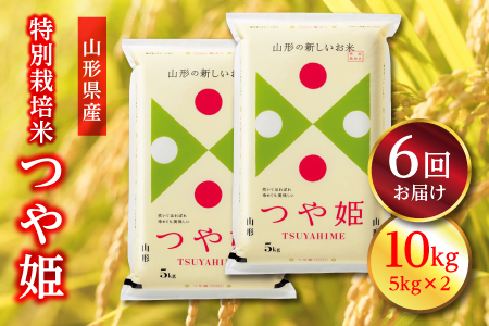 《定期便》山形県産 特別栽培米 つや姫 10kg(5kg×2)×6回 こめ 米 山形県産 内祝い ギフト F2Y-3083