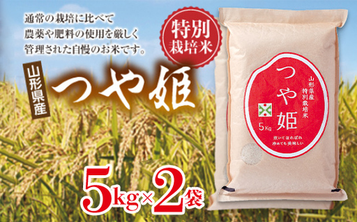 【山形の極み】特別栽培米 山形県産 つや姫セット 10kg(5kg×2) 米 お米 コメ ごはん ご飯 食品 山形県 F2Y-6660