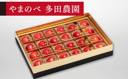 ��2026�N ��s�\��₳������ ��ʂ̃_�C�A�i�u���C�g �݂�є� 24���u��܂̂ב��c�_���v F2Y-1379