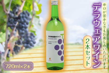 デラウェアワイン2本セット
