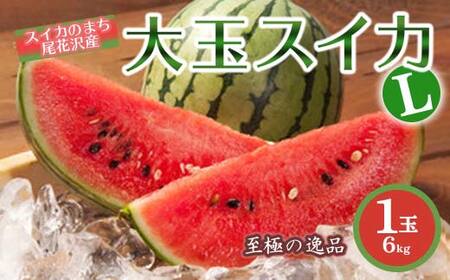 [先行予約 2026年度発送]大玉スイカL以上(6kg)1玉 スイカ すいか 西瓜 デザート フルーツ 果物 くだもの 果実 食品 山形県
