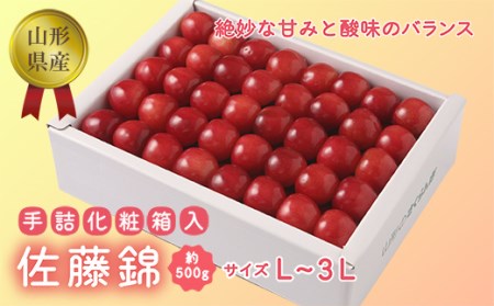 ss\ 2026Nxtyсzl 500giϔj FSY-0063