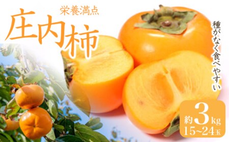 [先行予約 2025年度発送]ご家庭用 庄内柿 約3kg 15~24玉 柿 かき デザート フルーツ 果物 くだもの 果実 食品 山形県
