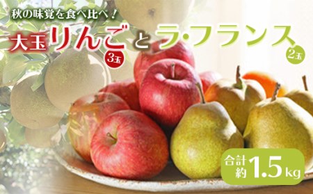 [先行予約 2025年度発送]大玉リンゴ 3玉 ラ・フランス 2玉 約1.5kg りんご リンゴ 林檎 デザート フルーツ 果物 くだもの 果実 食品 山形県