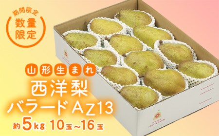 《先行予約 2025年度発送》【王将果樹園】西洋梨バラード5kg なし ナシ 梨 デザート フルーツ 果物 くだもの 果実 食品 山形県 FSY-1856