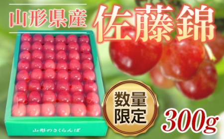 �s��s�\�� 2026�N�x�����t��������R�`�������ڍ�����L300g��l�y5�����{�`6����{�����z FSY-0419