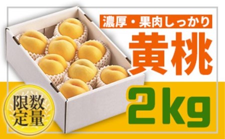 《先行予約 2025年度発送》山形黄金色の桃♪黄桃秀品2kg FSY-0428