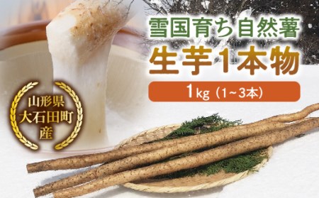 山形県産 雪国育ち自然薯 生芋1本物 1kg(1〜3本)
