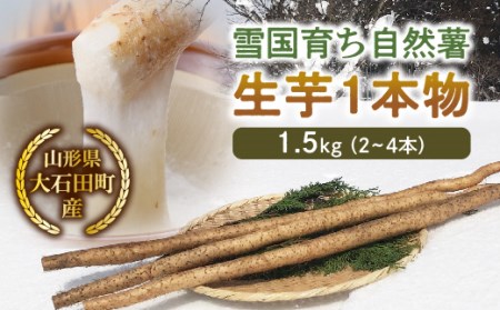 山形県産 雪国育ち自然薯 生芋1本物 1.5kg（2～4本） F2Y-5113