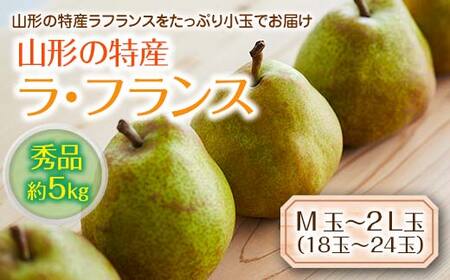 [先行予約 2025年度発送]山形の特産ラ・フランス約5kg☆小玉をお届け! なし ナシ 梨 デザート フルーツ 果物 くだもの 果実 食品 山形県