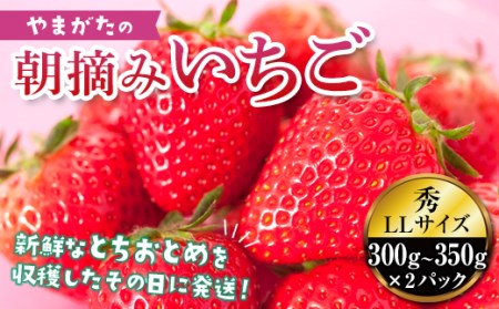 ss\ 2026Nxt^ԂɈ~ґ򁙒Eݑ嗱 FSY-0116