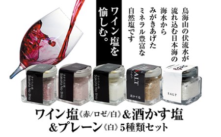 お洒落な角瓶入りの天然塩5種セット (ワイン塩3種・酒かす塩・プレーン塩)