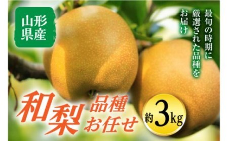 《先行予約》天童産 和梨 (品種おまかせ) 約3kg F2Y-1470