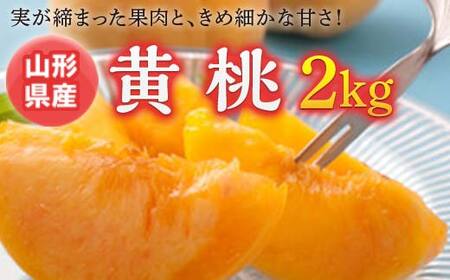 [先行予約 2026年度発送]黄桃 2kg もも モモ 桃 デザート フルーツ 果物 くだもの 果実 食品 山形県