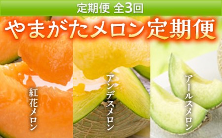 [2026年発送先行予約]やまがたメロン定期便(全3回)