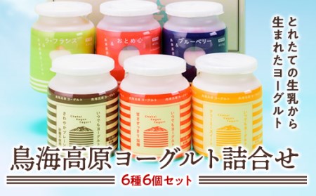 鳥海高原ヨーグルト詰合せ 6種6個セット