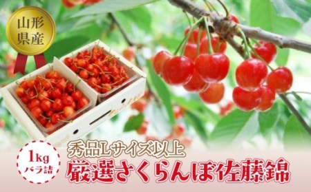 《2025年度発送》【山形県産】さくらんぼ佐藤錦1kgバラ詰（秀品Lサイズ以上） FSY-1289