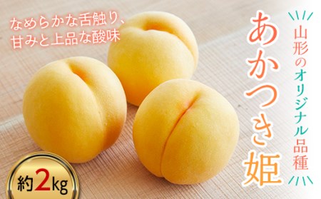 ss\ 2026Nxt_Ƃ߁I󏭕iuPv 2kg FSY-2381