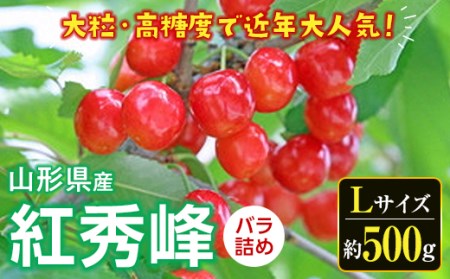 《先行予約 2025年度発送》さくらんぼ 紅秀峰（Lサイズ）バラ詰め 約500g FSY-0533