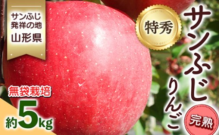 s2025NtTӂ˂̒n R`Y GTӂ 5kg n  FSY-0868
