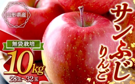 s2025NtTӂ 10kg FSY-0869