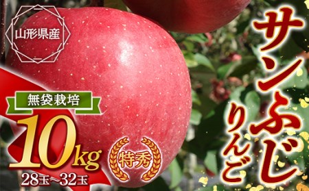 s2025NtTӂ˂̒n R`Y GTӂ 10kg n  FSY-0870