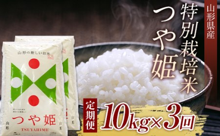 山形県産 特別栽培米 つや姫10kg （5kg×2) 全3回 F2Y-3918