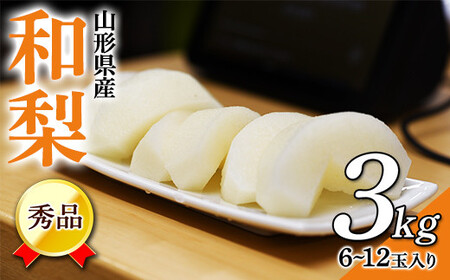 ss\ 2025N9{tR` Y a 3kg  Ȃ iV  fU[g t[c ʕ  ʎ Hi R` FSY-0457