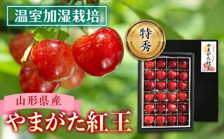 s2026NYsttR`Y ͔|ځy܂gzGi FSY-0019