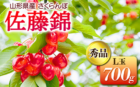ss\ 2026NtR`Y  GiL700g FSY-0169