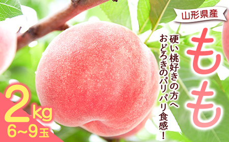 《先行予約 2025年発送》【硬い桃好きの方へ】大人気！おどろきのパリパリ食感！ 山形産もも2kg もも モモ 桃 デザート フルーツ 果物 くだもの 果実 食品 山形県 FSY-0170