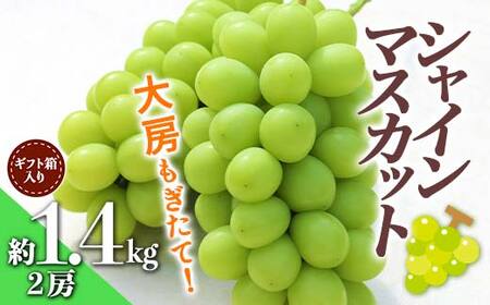 yst ߘa7Nxz[ăVC}XJbg2[ 1.4kg Mtg }XJbg Ԃǂ uhE  fU[g t[c ʕ  ʎ Hi R` FSY-0344