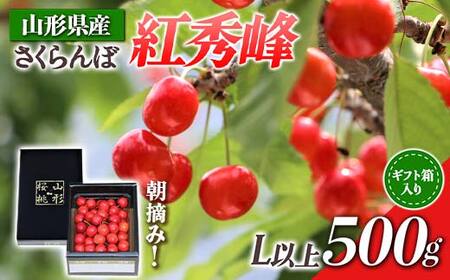 [先行受付 令和8年度発送]山形県産 朝摘みさくらんぼ 紅秀峰500g ギフト箱入り