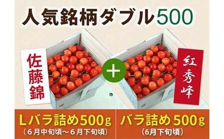 ss\ 2026NxtyЕzzڐlC_u500iяGiLTCY&gGGi2LTCYj FSY-0155