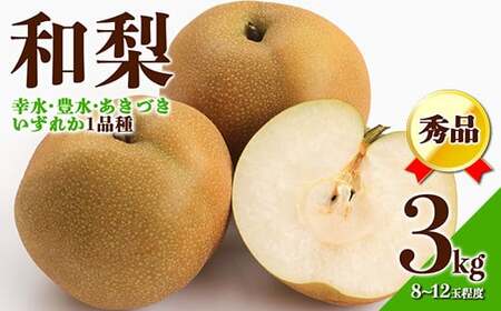 [先行予約 2025年度発送]☆フルーツ王国山形☆和梨3kg秀品 なし ナシ 梨 デザート フルーツ 果物 くだもの 果実 食品 山形県